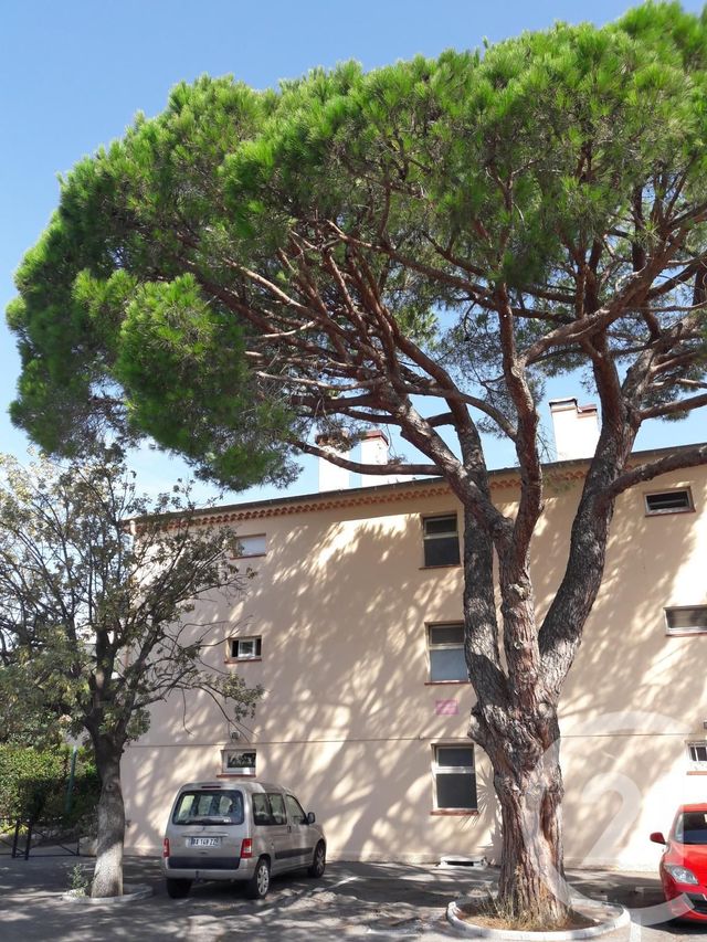 Appartement Studio &agrave; louer - 1 pi&egrave;ce - 18,62 m2 - Mandelieu La Napoule - 06 - PROVENCE-ALPES-COTE-D-AZUR